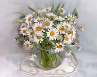 Без бренда «2KMA-0021» в Иркутске