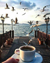 Без бренда «Кофе с видом на чаек» в Иркутске