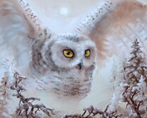 Без бренда «2KMB-3848» в Иркутске