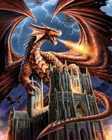 Без бренда «Дракон огня и молний» в Иркутске