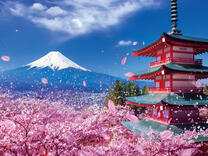 Без бренда «2KSB-7277» в Иркутске