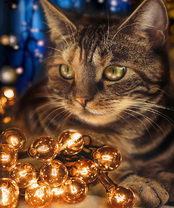 Без бренда «2KXSB-0678» в Иркутске