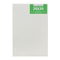 Без бренда «Коробка 80 шт.: Холст Две картинки на подрамнике 20X30» в Иркутске