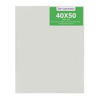 Без бренда «40 холстов! Коробка 20 шт.: 20 наборов по 2 шт. холст Две картинки на подрамнике 40X50 (всего 40 холстов)» в Иркутске в интернет-магазине  Без бренда «40 холстов! Коробка 20 шт.: 20 наборов по 2 шт. холст Две картинки на подрамнике 40X50 (всего 40 холстов)» в Иркутске