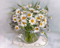Без бренда «Букет ромашек с колосками в круглой вазе (20шт)» в Иркутске