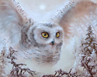 Без бренда «Полярная сова над лесом (20шт)» в Иркутске