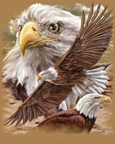 Без бренда «Коробка 20 шт: Орёл крупным планом» в Иркутске