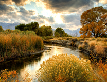 Без бренда «BOX25-GX29355» в Иркутске