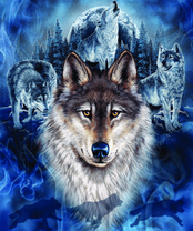 Без бренда «BOX40-2KXSB-0687» в Иркутске