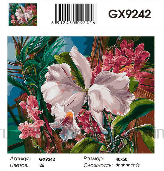 Картина по номерам 40x50 Экзотические цветы
