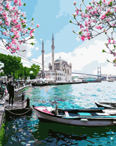 Вид на мечеть Ортакей