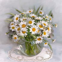 Букет свежих ромашек