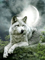 Без бренда «Коробка 25 шт. картин по номерам BOX25-GX21058» в Иркутске