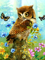 Коробка 25 шт. картин по номерам BOX25-GX23475