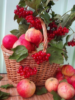 Без бренда «Коробка 25 шт. картин по номерам BOX25-GX5174» в Иркутске