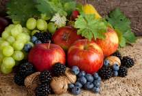 Без бренда «Фрукты, ягоды и орехи» в Иркутске