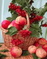 Без бренда «Плетёная корзина с калиной и яблоками» в Иркутске
