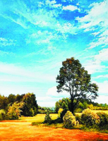 Без бренда «Осенний пейзаж с голубым небом» в Иркутске в интернет-магазине  Без бренда «Осенний пейзаж с голубым небом» в Иркутске