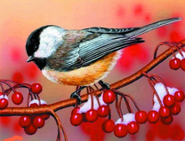 Синичка на ветке калины