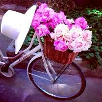 Велосипед с корзиной