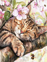 Без бренда «Волосатый котик спит на ветви яблони» в Иркутске