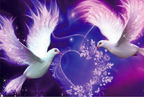 Белые голуби любви